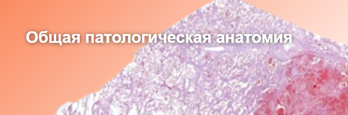 image_card